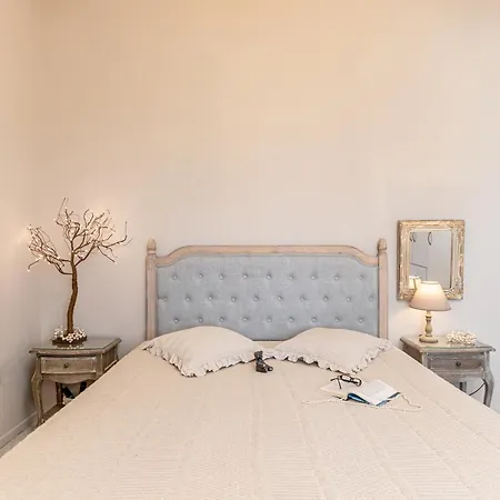 Black Velvet Agkidia