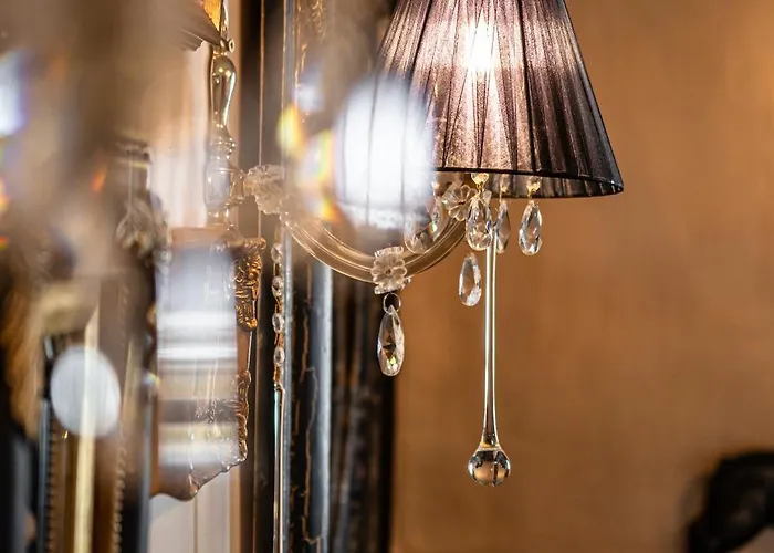 Black Velvet Αγγίδια