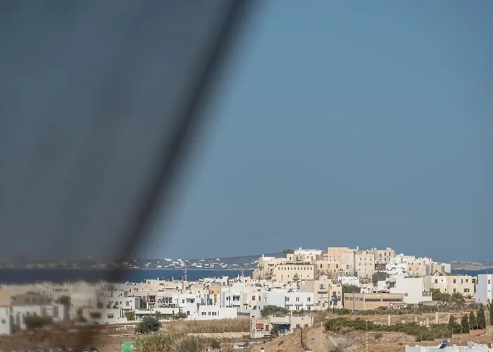 Black Velvet * Αγγίδια